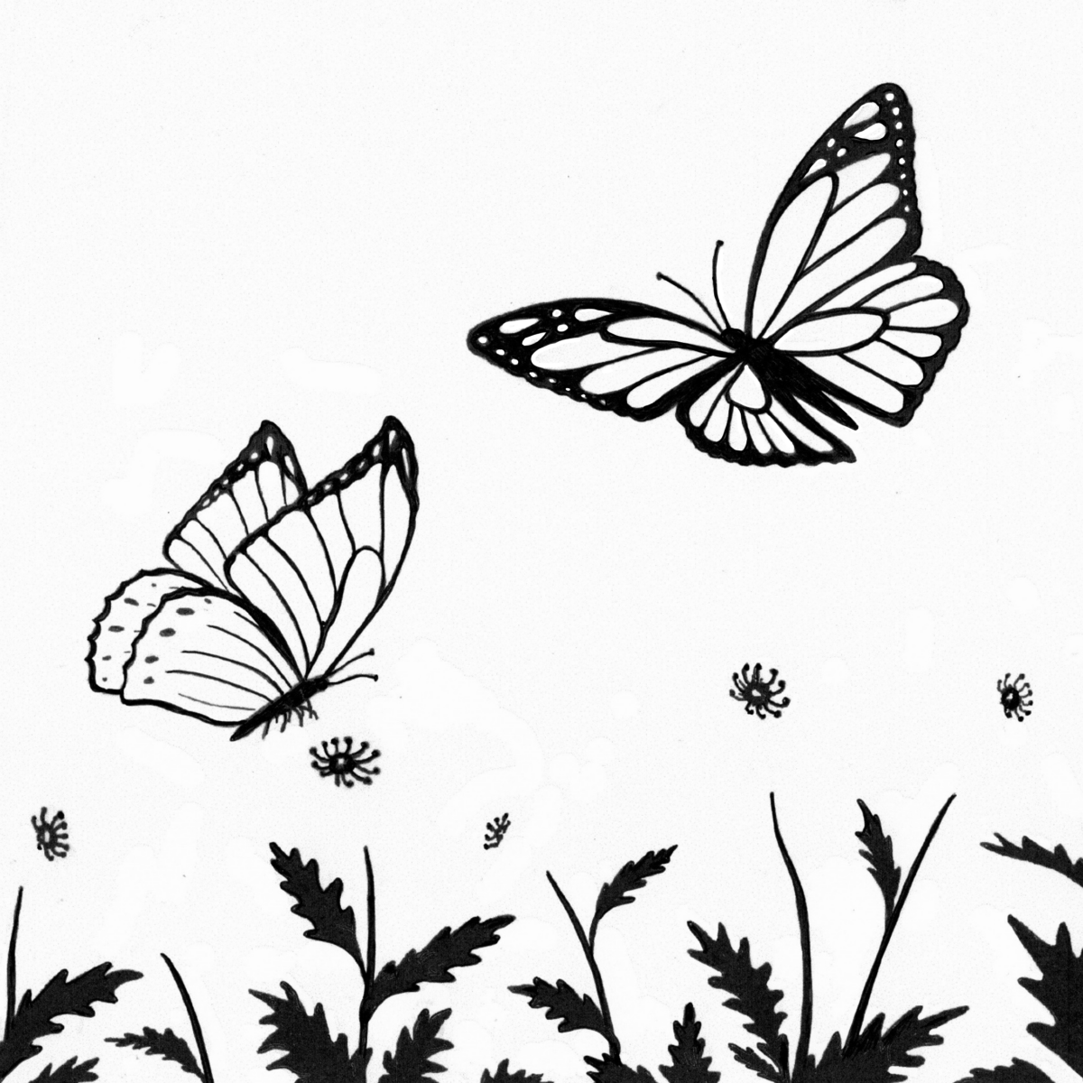 Black and white butterfly silhouette on a white background