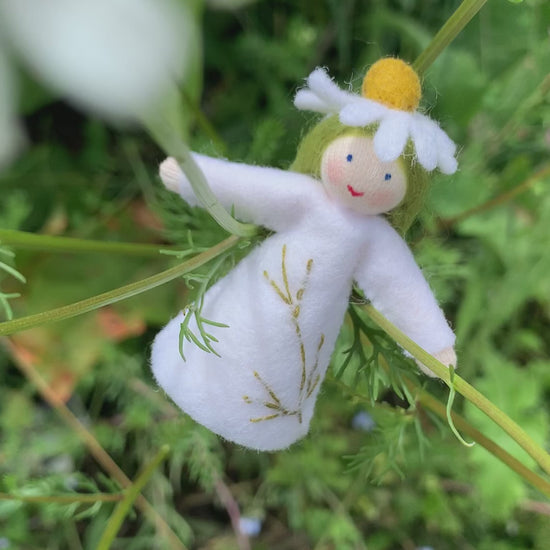 Amrosius Chamomile felt Steiner fairy