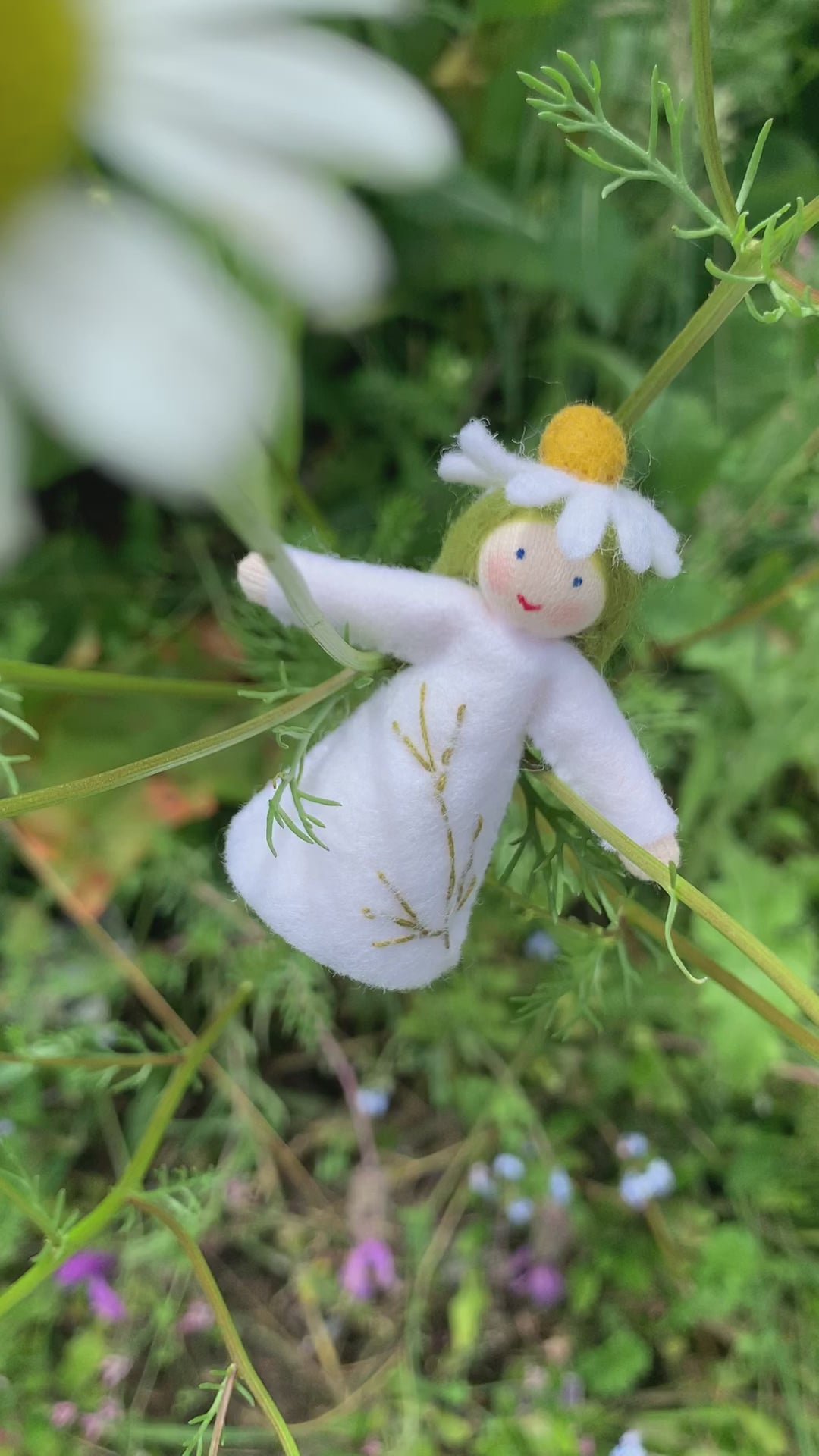 Amrosius Chamomile felt Steiner fairy