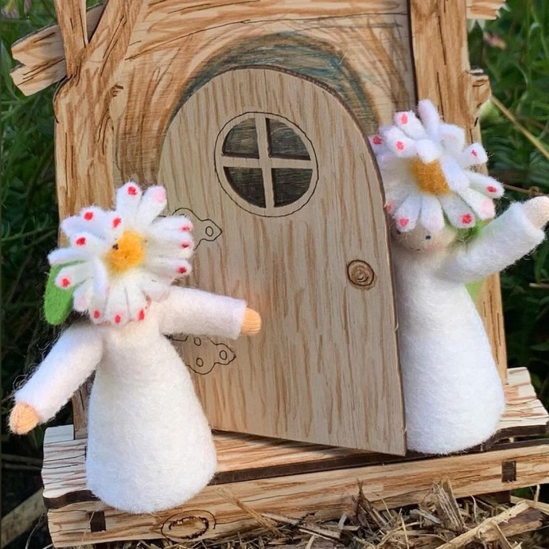 seaside daisies living behind their Wild Child fairy door 